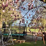 Grosse Drieling Greven (Steinfurt)