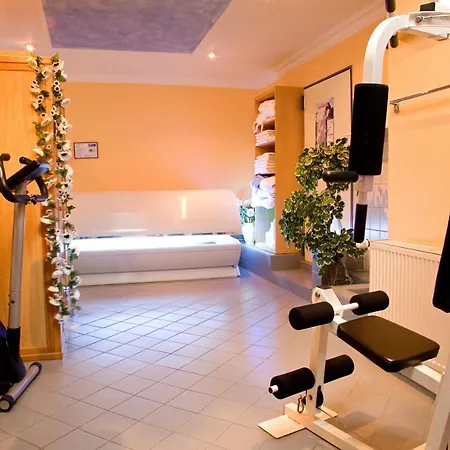 Отель Grosse Drieling 3*