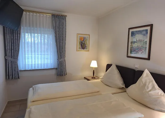 Otel Grosse Drieling 3*